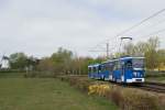 Der 24.04.2015 war der letzte Einsatztag der Rostocker T6, weshalb die Wagen geschmückt waren.