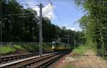 Nicht mehr durch den Wald -    Seit heute, 2.7.2007 fährt die Straßenbahnlinie wieder zur Ruhbank, auf der neutrassierten Strecke neben der Straße.