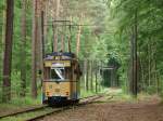 TW31 der Woltersdorfer Straßenbahn passiert am 28.05.2011 den Bereich  Waldweiche  zwischen S-Bahnhof Rahnsdorf (Berlin) und der Haltestelle Goethestraße (Woltersdorf/Brandenburg) in