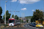 Auf durstige Rasen -    Sommer in Würzburg: Am Kranenkai ist ein Straßenbahnzug vom Typ GT-N auf der Linie 4 unterwegs.