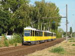 Etwas  wie in alten Zeiten , wenn sich zwei Tatra-KT4D begegnen ...
In Berlin Alt-Hohenschönhausen, nahe der Haltestelle  Altenhofer Straße  fährt eine Doppeltraktion auf der Linie M6E im besten Sonnenlicht stadteinwärts, während im auf der gleichen Linie im Bildhintergrund eine Doppeltraktion Richtung Marzahn unterwegs ist.

Berlin, der 19.08.2020