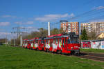 Halle (Saale)     Der T4D-C Großzug aus 1198 + 1160 + 195 als Linie 3, Bessen, 10.04.2019