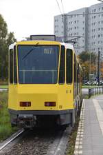 BERLIN, 17.10.2019, Rückansicht von Wagen Nr, 6134 in der Haltestelle Falkenberg, der hier als hinterer Wagen eines Zuges der Linie M17 zum Bahnhof Schöneweide fährt