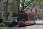 Mächtige Platanen umsäumen den Platz vor dem Landesmuseum für Vorgeschichte in Halle,da kann sogar die Straßenbahn drunter durch fahren.