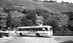 ESS-Nachfolger O-Bus Nr.32 der SVE von Esslingen nach Obertürkheim unterwegs.__22-06-1976