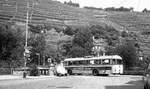 ESS-Nachfolger O-Bus der SVE von Esslingen nach Obertürkheim unterwegs.__22-06-1976