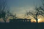 END Straßenbahn Esslingen-Nellingen-Denkendorf__Die aber auch nach Scharnhausen und Neuhausen fuhr. Auch bei Sonnenuntergang ein schöner Anblick. Tw nahe Neuhausen.__01-04-1976