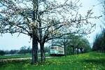 END Straßenbahn Esslingen-Nellingen-Denkendorf__Die aber auch nach Scharnhausen und Neuhausen fuhr. 1. Mai-Ausflug mit der Überlandstraßenbahn durch bühende Wiesen und Apfelbäume bei Neuhausen.__01-05-1972