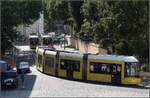 Mit der Straßenbahn zur Berliner Museumsinsel -

Reger Tramverkehr an der Endhaltestelle Am Kupfergraben. Die zwei Haltepositionen sind hintereinander angeordnet. Blick von der Terrasse der James-Simon-Galerie. 

19.08.2019 (M)