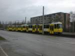 Berlin: Straenbahnlinie M5 nach Friedrichshain Landsberger Allee/Petersburger Strae an der Haltestelle Hohenschnhausen Gehrenseestrae.