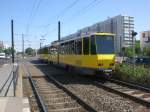 Berlin: Straenbahnlinie M4 nach Falkenberg an der Haltestelle Hohenschnhausen Prerower Platz.