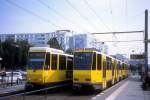 Berlin BVG SL M6 Landsberger Allee / Petersburger Strasse am 26.