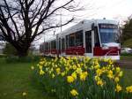 Ein NGT8D aufgenommen in der Nhe des Brauschweiger Hauptbahnhofs