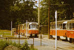 19. Juni 1985, Wegen umfangreicher Bauarbeiten auf der Bodenbacher Straße wurde für die Straßenbahn auf der Stübelallee am Großen Garten eine behelfsmäßige Wendestelle eingerichtet. Den Zug der Linie 17 nach Prohlis führt Tw 222 336.