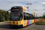 Dresden: NGTD8DD 2629  Pride Tram  bei einer kurzen Pause in der Wendeanlage der Endstelle Pennrich.