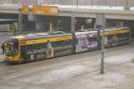 2617 auf der Linie 8 nach Hellerau am Dresdner Hbf, 26.01.2010