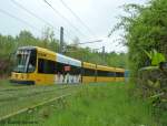 2824 der Linie 3 schlngelt sich aus dem Gebsch die Starke kurve am Plauenschen Ring kurz nach der Haltestelle Cmmerswalder Strae entlang.
Dresden 25.04.11