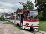 Historische Straßenbahn für Stadtrundfahrten steht am Domplatz am 28.