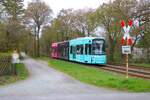 VGF Bombardier Flexity Classic S-Wagen 239 am 04.04.26 in Frankfurt am Main