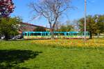 VGF Stra�enbahn Frankfurt am Main D�wag Pt Wagen 727 mit Kindermahlwerken am 15.04.26 in Frankfurt auf der Linie 15
