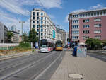 Alltag in der Frankfurter Innenstadt: In der Wei�frauenstra�e begegneten sich am 26.07.2026 zwei S-Wagen. 238 fuhr auf Linie 14 zum Gustavsburgplatz, w�hrend 233 als Linie 11 nach Fechenheim unterwegs war.