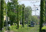 Mit der Straßenbahn in den Freiburger Westen -    Nicht nur die Gleise sind begrünt sondern auch die Masten.