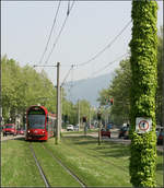 Mit der Straßenbahn durch den Freiburger Westen -

Eine rote Tram auf grüner Strecke kurz vor der Haltestelle 'Betzenhauser Torplatz.'

11.05.2006 (M)