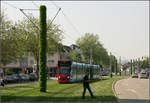 Mit der Straßenbahn durch den Freiburger Westen -    Die begrünte Straßenbahntrasse in der Sundgauallee in Freiburg-Betzenhausen.