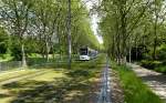 Freiburg, durch diese schne Platanenallee fhrt die Straenbahn im Stadtteil Sthlinger, Mai 2013