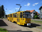 Nochmal der Tw 319,am 28.Mai 2020,nach Gotha,in Tabarz.