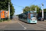 MGT6D, Wagen 631 mit Werbung für die Hallesche Wasser und Stadtwirtschaft GmbH, der Halleschen Verkehrs-AG (HAVAG) als Linie 8S von Rennbahnkreuz nach Elsa-Brändström-Straße