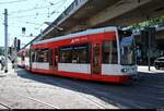 MGT-K-2 (Bombardier Flexity Classic), Wagen 698 und Wagen ???, der Halleschen Verkehrs-AG (HAVAG) als Linie 3 von Trotha nach Beesen passieren die Haltestelle Franckeplatz und biegen in den Steinweg ein.
Diese Linie hat aufgrund von Baumaßnahmen einen anderen Laufweg.
Aufgenommen im Gegenlicht.
[29.6.2018 | 10:04 Uhr]