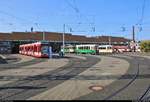 Anlässlich des Tags der offenen Tore im HAVAG Betriebshof in der Freiimfelder Straße in Halle (Saale) waren zahlreiche Straßenbahnfahrzeuge der Halleschen Verkehrs-AG (HAVAG) und der