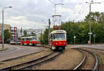 50 Jahre Tatrawagen in Halle (Saale)
Anlässlich ihrer 50-jährigen Betriebszugehörigkeit im halleschen Straßenbahnnetz veranstalten die Halleschen Straßenbahnfreunde e.V. (HSF) gemeinsam mit der Halleschen Verkehrs-AG (HAVAG) einen rund zweistündigen Fahrzeugkorso mit allen vorhandenen Tatrawagen und deren Umbauten im Stadtgebiet von Halle.
Hier befindet sich Zweirichtungswagen Tatra ZT4D, Wagen 900, der HSF kurz vor der Haltestelle Wiener Straße, Höhe Südstadtring/Böllberger Weg.
Dahinter geben sich schon Tatra T4D, Wagen 931, der HSF, Großzug Tatra T4D-C, Wagen 1201 und 1176 sowie Beiwagen 204, der HAVAG und sogar Arbeitsfahrzeug Tatra T4D-C, Wagen 035, der HAVAG zu erkennen.
[7.9.2019 | 10:34 Uhr]