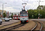 50 Jahre Tatrawagen in Halle (Saale)
Anlässlich ihrer 50-jährigen Betriebszugehörigkeit im halleschen Straßenbahnnetz veranstalten die Halleschen Straßenbahnfreunde e.V. (HSF) gemeinsam mit der Halleschen Verkehrs-AG (HAVAG) einen rund zweistündigen Fahrzeugkorso mit allen vorhandenen Tatrawagen und deren Umbauten im Stadtgebiet von Halle.
Hier befindet sich Großzug Tatra T4D-C, Wagen 1201 und 1176 sowie Beiwagen 204, der HAVAG kurz vor der Haltestelle Wiener Straße, Höhe Südstadtring/Böllberger Weg.
[7.9.2019 | 10:35 Uhr]