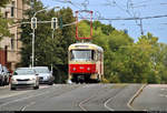 50 Jahre Tatrawagen in Halle (Saale)  Anlässlich ihrer 50-jährigen Betriebszugehörigkeit im halleschen Straßenbahnnetz verkehren alle vorhandenen Tatrawagen und deren Umbauten der