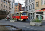 Inmitten von Pflanzkübeln und des Eselsbrunnens schlängelt sich Zweirichtungswagen Tatra ZT4D, Wagen 900, am Alten Markt vorbei.