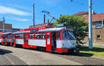 Tatra T4D-C, Wagen 1201, ist ausgestellt beim Tag der offenen T�r der HAVAG im Betriebshof Freiimfelder Stra�e.
Diese Serie von Triebwagen wurde um die Jahrtausendwende von der Mittenwalder Ger�tebau GmbH (MGB) umgebaut und erhielt dabei eine  Chopper -Steuerung. Seit 2022 geh�rt dieses Exemplar zusammen mit Triebwagen Nr. 1156 und Beiwagen Nr. 222 zum Museumsbestand und bildet damit den letzten verbliebenen Tatra-Gro�zug.

🧰 Hallesche Stra�enbahnfreunde e.V. (HSF)
🕓 10.5.2025 | 12:01 Uhr