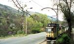 Straßenbahn Jena__Rostige Mülltonnen, rostige Straßenbahn. Aber auf der anderen Straßenseite erblüht neues Leben, vier Monate nach der  Mauer-Öffnung  sehr sinnbildlich ... Linie 2 mit Tw 037 kommt von Jena-Ost_17-03-90