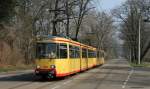 Tw 125 und Tw 124 als Sonderfahrtin Daxlanden an der Altrheinbrcke 24.3.12 