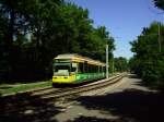 VBK Tw 256 war am 02.08.2013 im Daxlandener Auenwald auf dem Weg zum Rheinstrandbad, als er den Beginn des eingleisigen Abschnittes passiert.