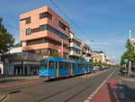 Im Juni 2023 kamen die Kasseler N8C auch auf der Linie 7 zum Einsatz. Am 20.06.2023 war Wagen 418 auf dem Weg vom Wolfsanger zum Bahnhof Wilhelmshöhe. Der Zug befindet sich in der Friedrich-Ebert-Straße, wo anlässlich der Fußball WM der Frauen 32 Länderfahnen gehisst wurden.