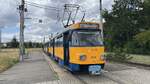 Stra�enbahn Leipzig | CKD Tatra T4D M1  TW2110 mit einem N-TGZ als Linie 8 an der Haltestelle Paunsdorf Nord (11.7.2026) 