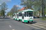 Magdeburg 1293, Große Diesdorfer Straße, 26.04.2022.