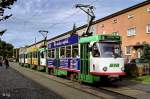 1264 + 1265 + 2132 auf dem Rebenweg (13. September 2004)