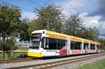 Straßenbahn Mainz / Mainzelbahn: Stadler Rail Variobahn der MVG Mainz - Wagen 223, aufgenommen im September 2017 bei der Bergfahrt zwischen Mainz-Lerchenberg und Mainz-Marienborn.