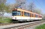 Straßenbahn Mainz / Mainzelbahn: Duewag / AEG M8C der MVG Mainz - Wagen 273, aufgenommen im April 2019 bei der Bergfahrt zwischen Mainz-Lerchenberg und Mainz-Marienborn.