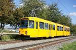 Straßenbahn Mainz / Mainzelbahn: Duewag / AEG M8C der MVG Mainz - Wagen 276, aufgenommen im September 2019 bei der Bergfahrt zwischen Mainz-Lerchenberg und Mainz-Marienborn.