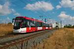Straßenbahn Mainz am 16.08.22 mit dem Erfurter Gastfahrzeug Stadler Tramlink Wagen 802 auf der Linie 59