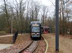 MVG Stadler Variobahn Wagen 231 mit Stadtwerke Mainz Vollwerbung am 17.12.16 in Mainz Lerchenberg von einen Gehweg aus fotografiert an einen Bahnübergang